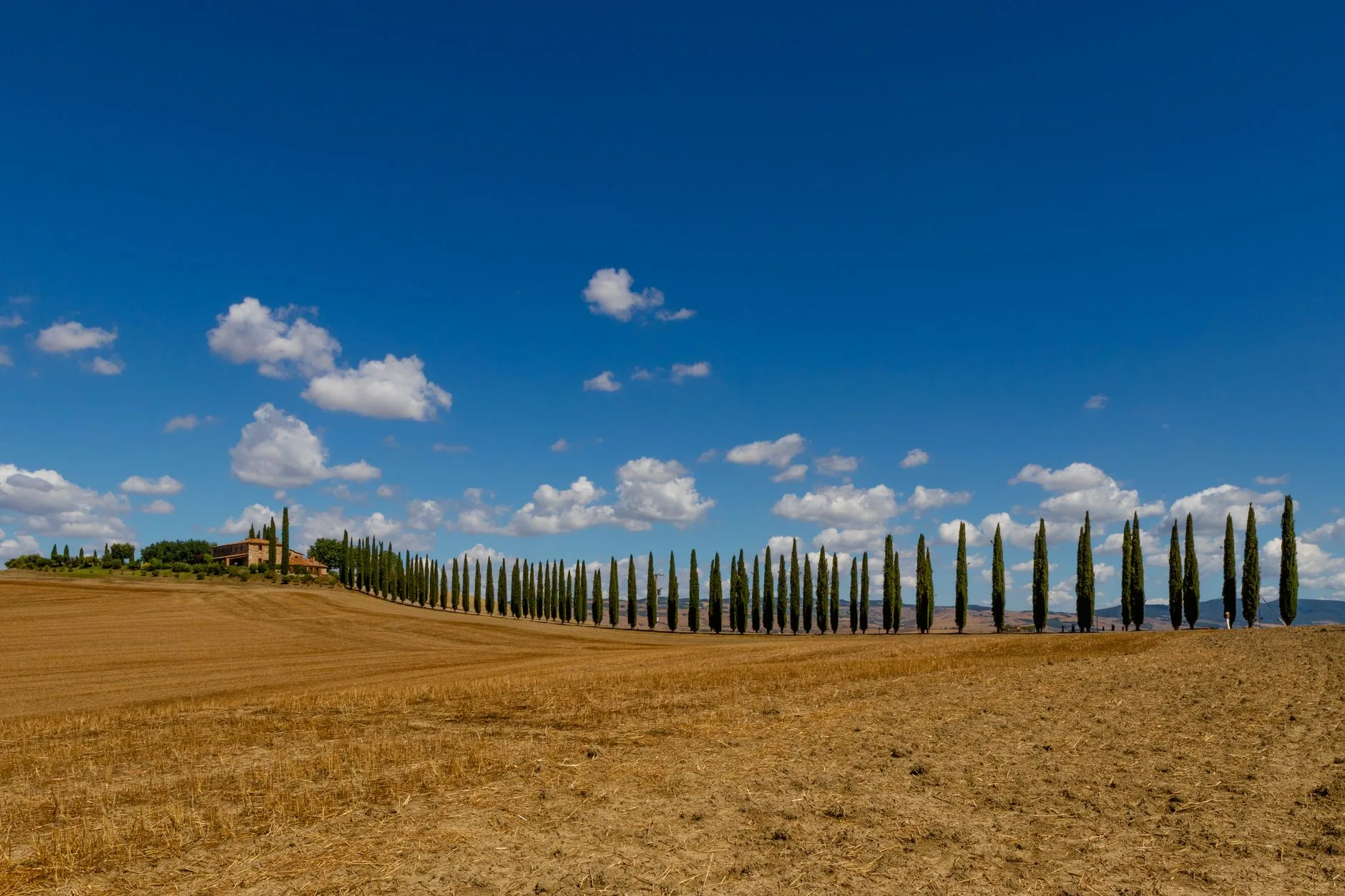 Collines de Toscane et cyprès au lever du soleil