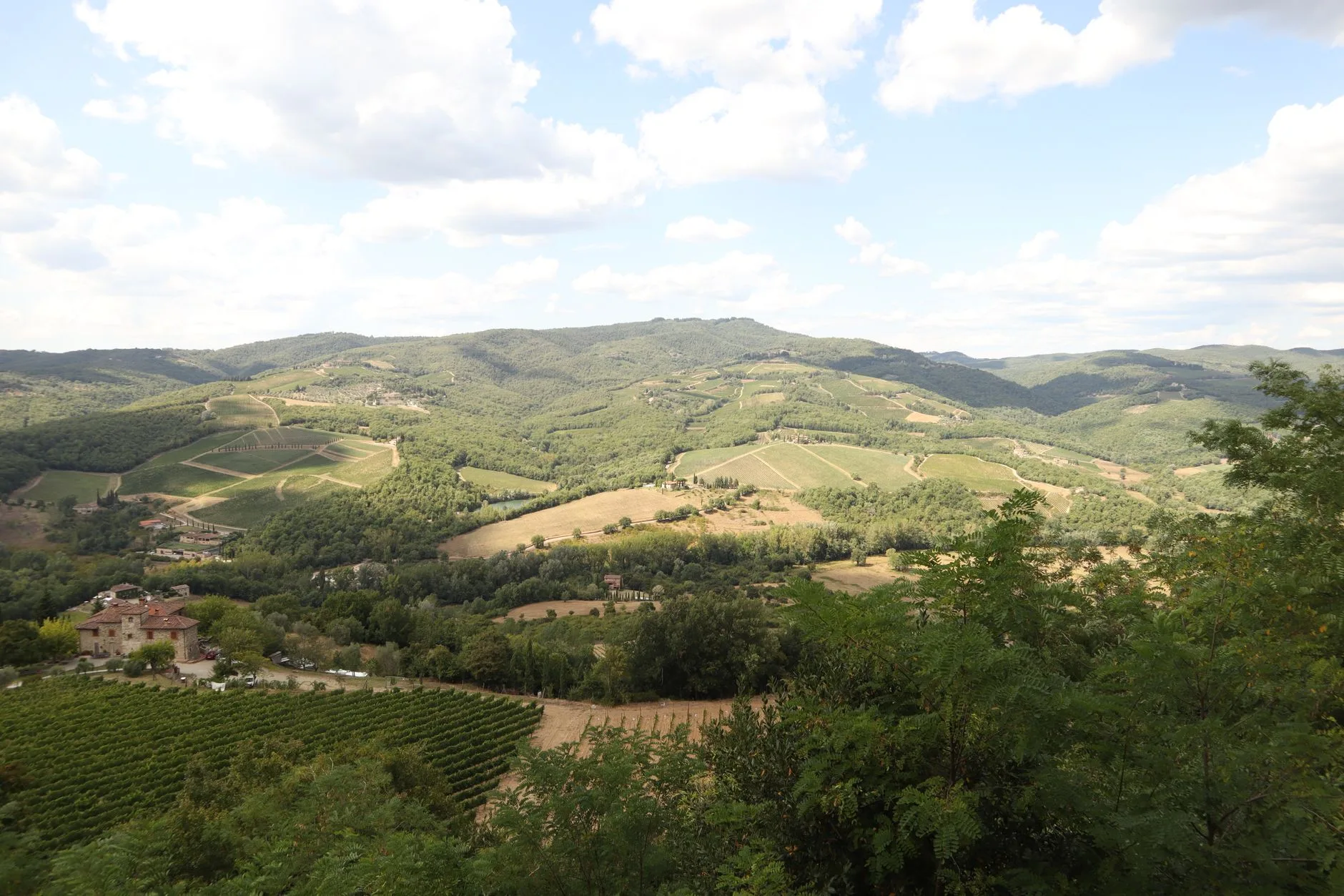 Les grands vins : Chianti, Brunello et compagnie