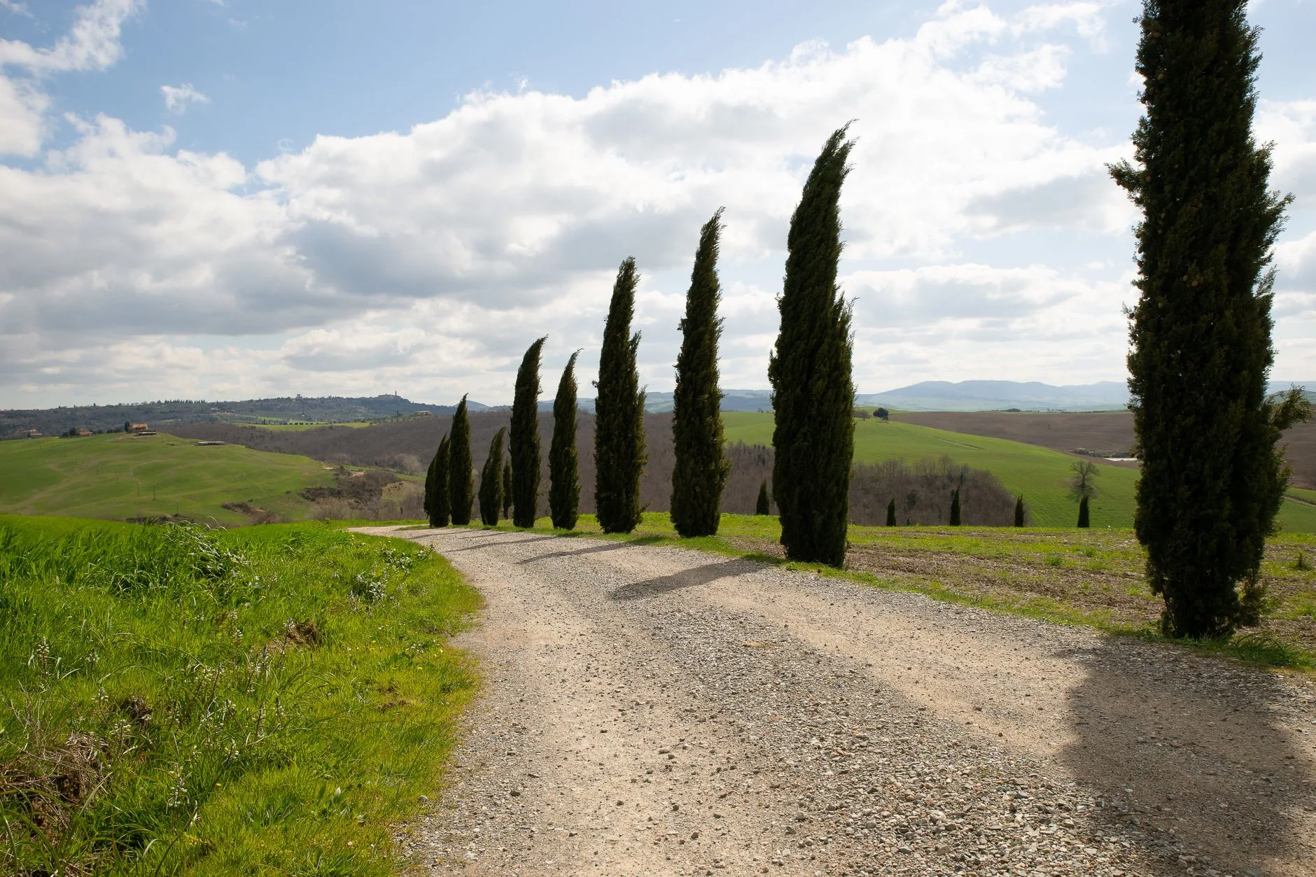 Route de campagne bordée de cyprès dans les collines de Toscane